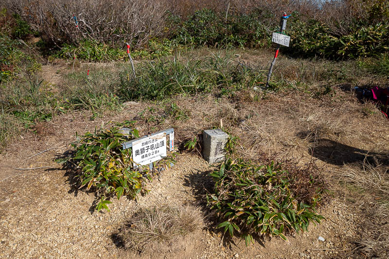 Japan-Kanazawa-Hiking-Mount Okushishiku - Photo of summit marker in case I want to claim my discounted coffee (I did not).