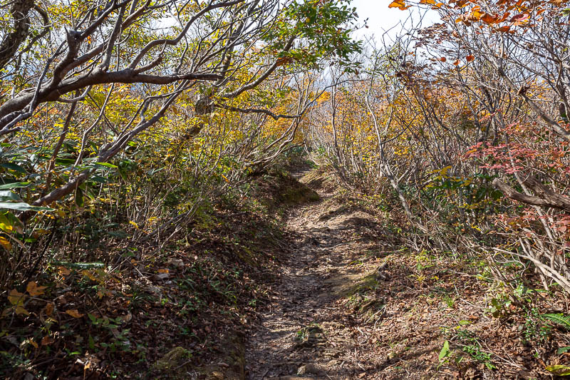 Japan-Kanazawa-Hiking-Mount Okushishiku - Now to skip all the way down enjoying the scenery.