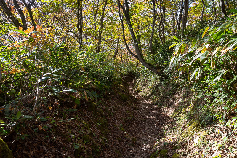 Japan-Kanazawa-Hiking-Mount Okushishiku - One more of these...