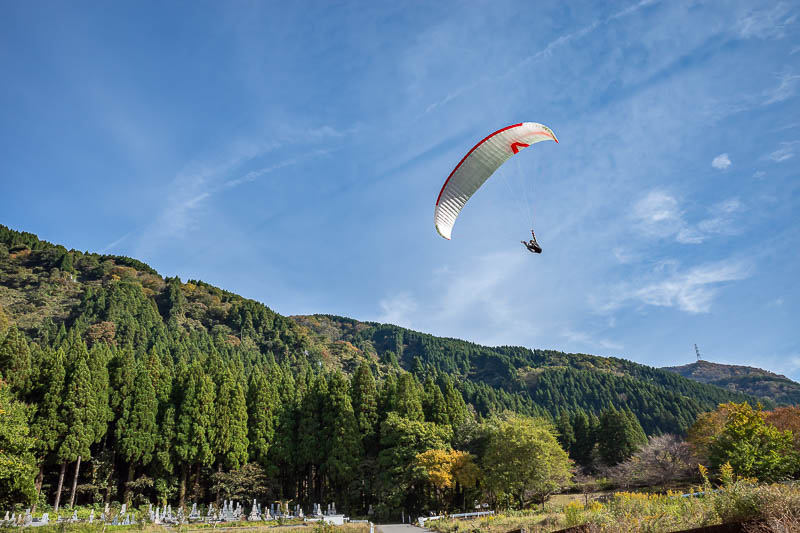 Japan-Kanazawa-Hiking-Mount Okushishiku - I made a small detour to go past their landing area, and they seemed to enjoy flying very close to me on their way to the landing spot. It is amusing 