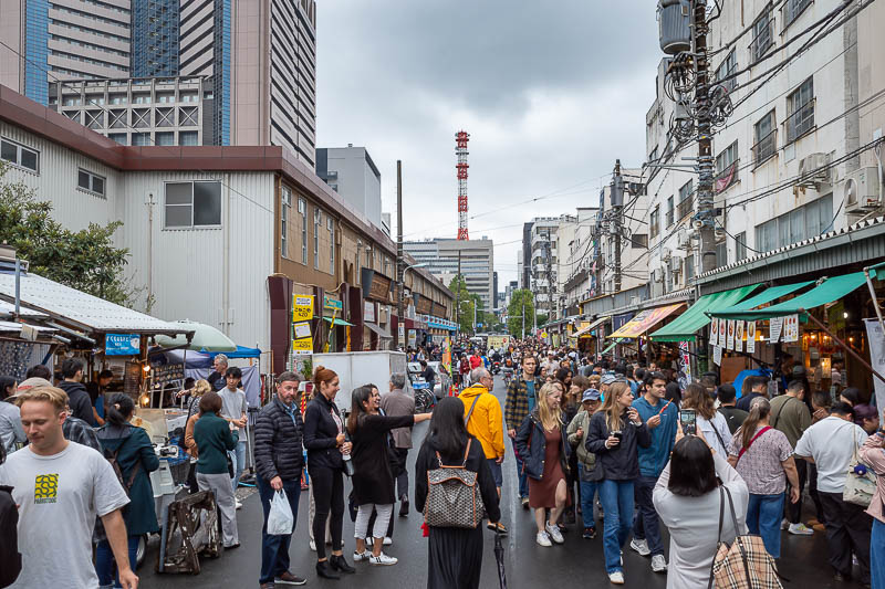 Japan-Tokyo-Garden-Rain - A less busy bit. I avoided the busiest bits. A lot of it was knocked down to make way for the Olympics that sort of happened during Covid. But they ne