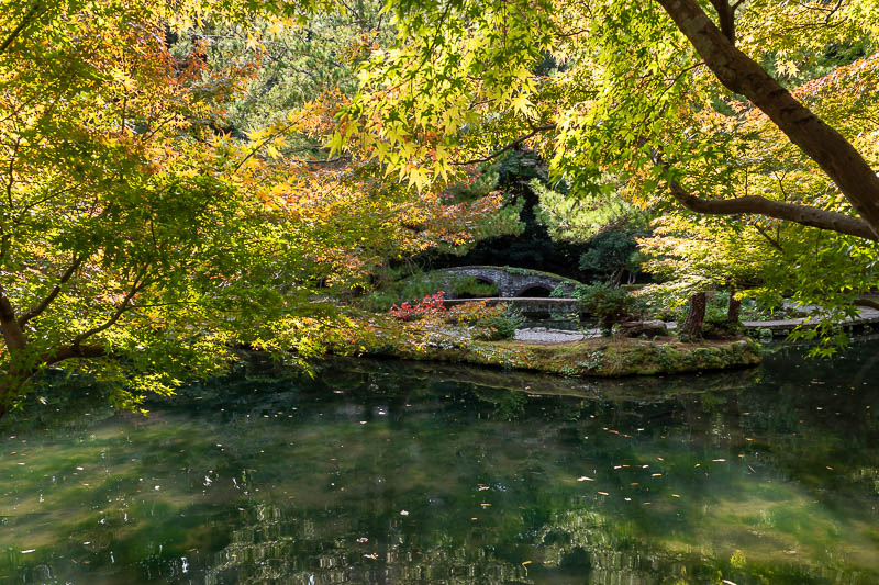 Back to Japan for the 11th time - October and November 2024 - I also went back to the night shrine I went to the other night in the day time, thus making it a day shrine. In the day time it has a little lake. I h