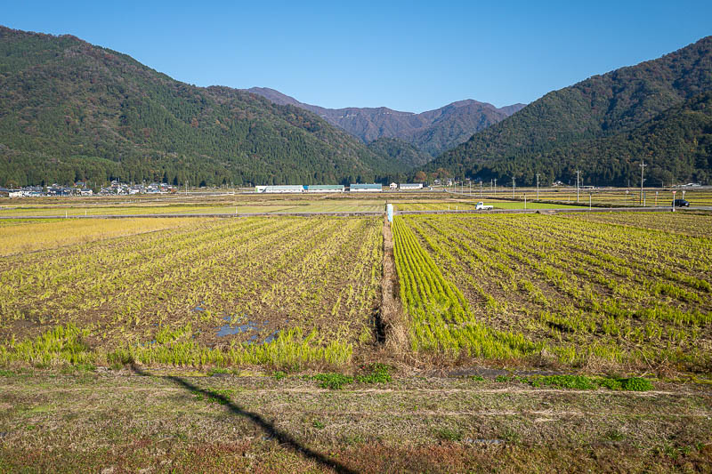 Back to Japan for the 11th time - October and November 2024 - And then some fields. Great scenery.