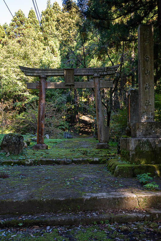 Back to Japan for the 11th time - October and November 2024 - There is a shrine at the start of the hike, I will pay it a proper visit on the way down.