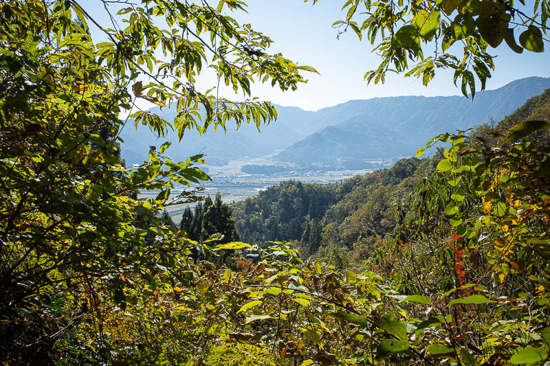 Back to Japan for the 11th time - October and November 2024 - First view, in high contrast.