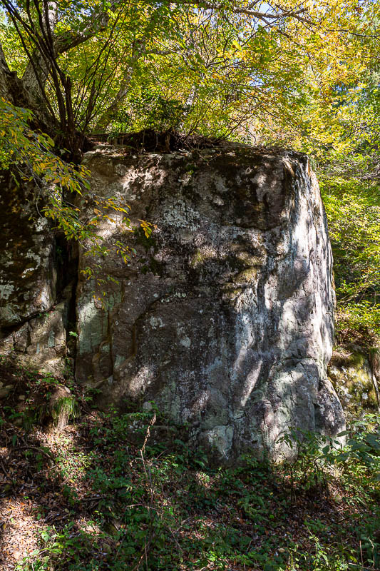 Back to Japan for the 11th time - October and November 2024 - Surprise giant rock.