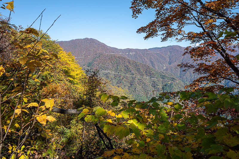 Back to Japan for the 11th time - October and November 2024 - View across to the next mountain. The looks like a road zig zagging up it, but if it is a road it is not on any map.