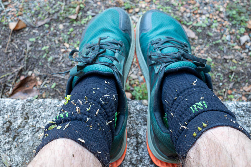 Back to Japan for the 11th time - October and November 2024 - My socks were filled with prickles. Despite walking through a few blackberry bushes, my shins were scratch free.