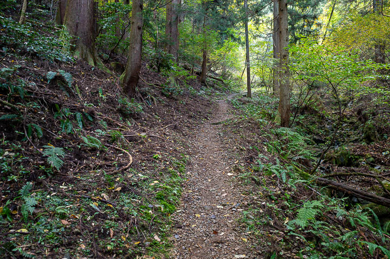 Japan-Fukui-Hiking-Hinoyama - The trail started. No bear warnings! The lower sections were very smooth.