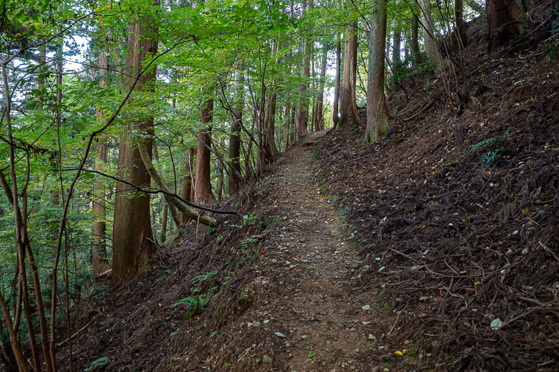 Japan-Fukui-Hiking-Hinoyama - I saw 3 other people on the way up, but then I came down via the non preferred path and saw no one at all.