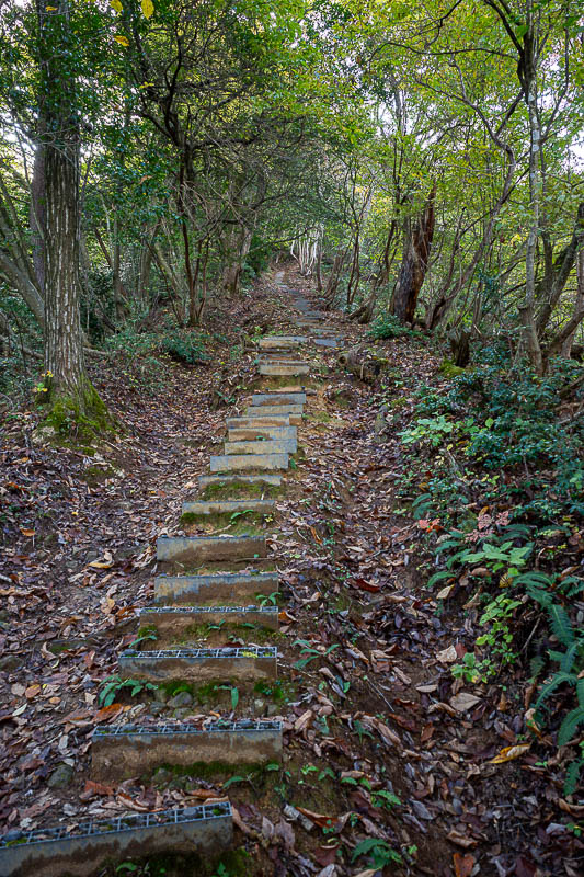 Japan-Fukui-Hiking-Hinoyama - This way up has some steps, but it would not last.