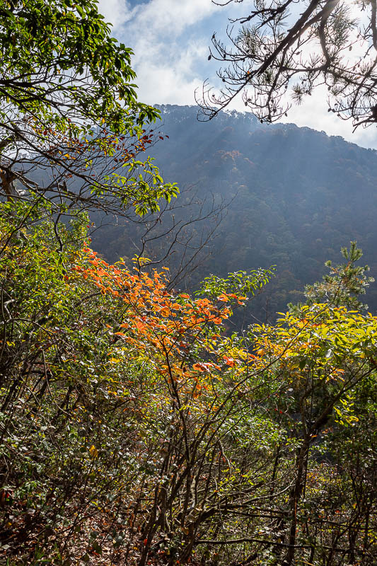 Japan-Fukui-Hiking-Hinoyama - The summit is now clear of fog.