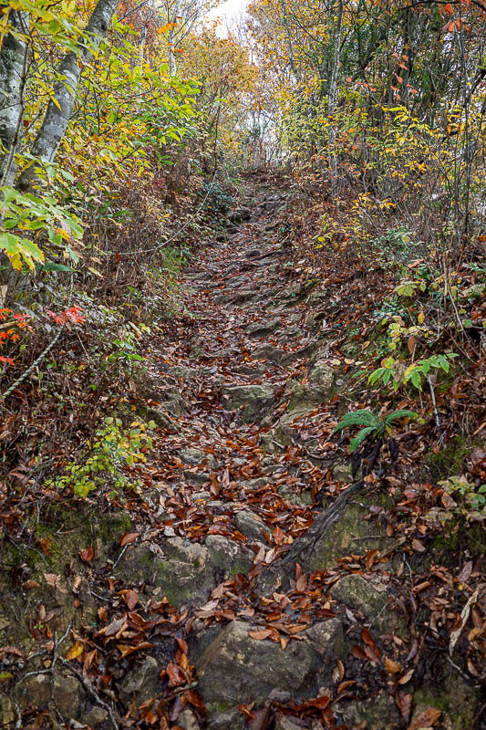 Japan-Fukui-Hiking-Hinoyama - You can see the rope here. Very steep.