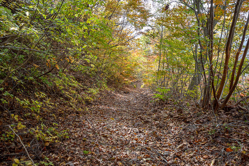 Japan-Fukui-Hiking-Hinoyama - Nearly back to the woods.