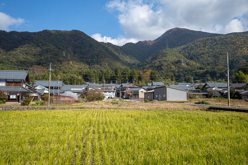 Japan-Fukui-Hiking-Hinoyama - Nice view of today's small mountains, now to check when the train comes.. ok time for more running.