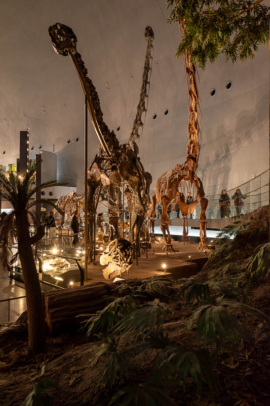 Japan-Fukui-Dinosaur-Museum - OK, enough with the dinosaur main hall.