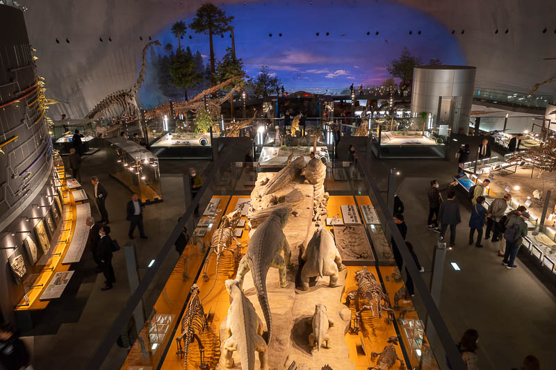 Japan-Fukui-Dinosaur-Museum - I climbed up as high as I could and had this view to myself.