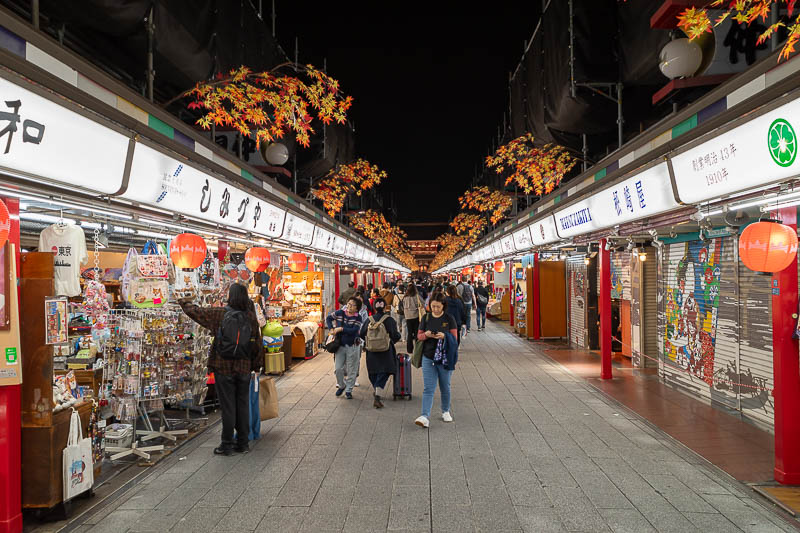 Japan-Tokyo-Asakusa-Ramen - Some of the places along the main bit were still open, but generally in the process of closing.