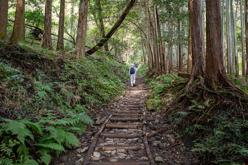 Japan-Tokyo-Hiking-Mount Tanzawa - The path today is almost all stairs until you get over the first mountain, Tonodake, at which point it becomes a lot of mud as you shall see.