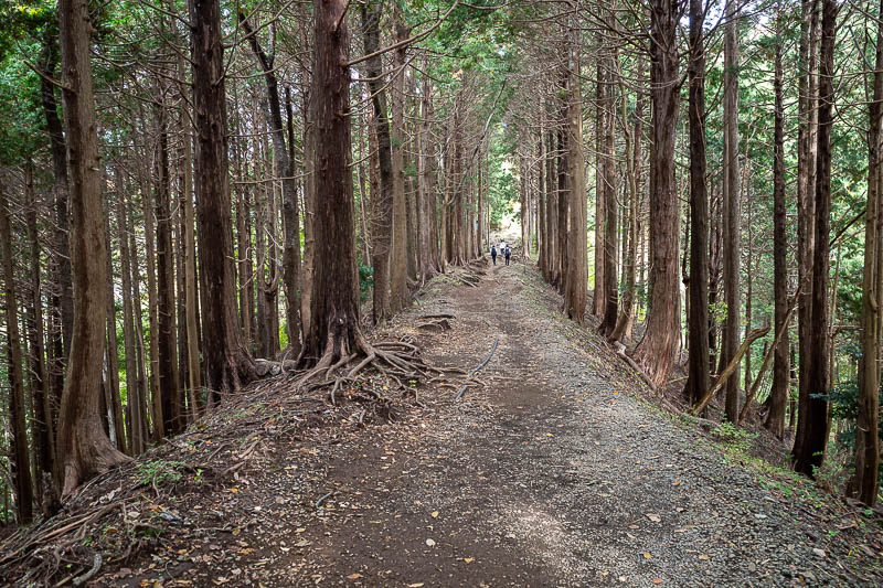 Japan-Tokyo-Hiking-Mount Tanzawa - There were the occasional flat bits to run on more comfortably.