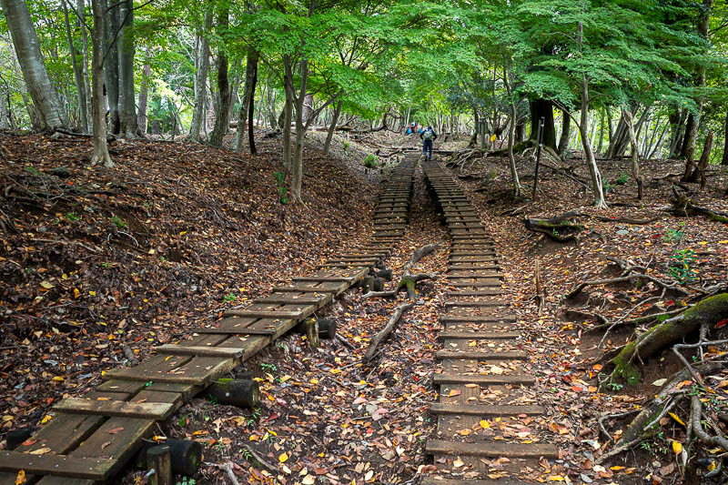 Japan-Tokyo-Hiking-Mount Tanzawa - I very much remember these raised planks from last time. There are less now, they have been replaced by wooden stairs in a lot of places.