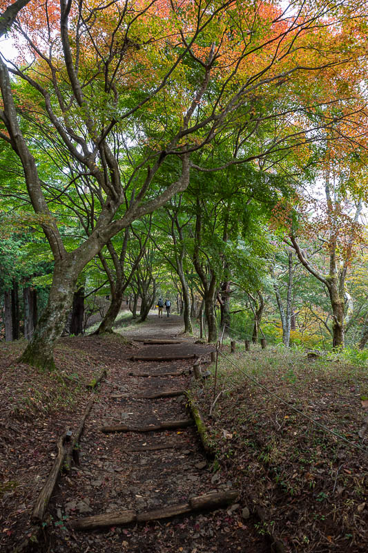 Japan-Tokyo-Hiking-Mount Tanzawa - Still not a lot of colour. Last time was blinding leaf colour. I will stop talking about last time eventually.