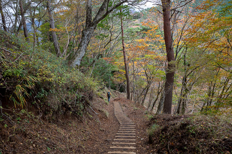 Japan-Tokyo-Hiking-Mount Tanzawa - This is a rare downwards bit on the way up. The hike has a reputation for being an unrelenting sets of stairs. It is hard on your feet / calves becaus