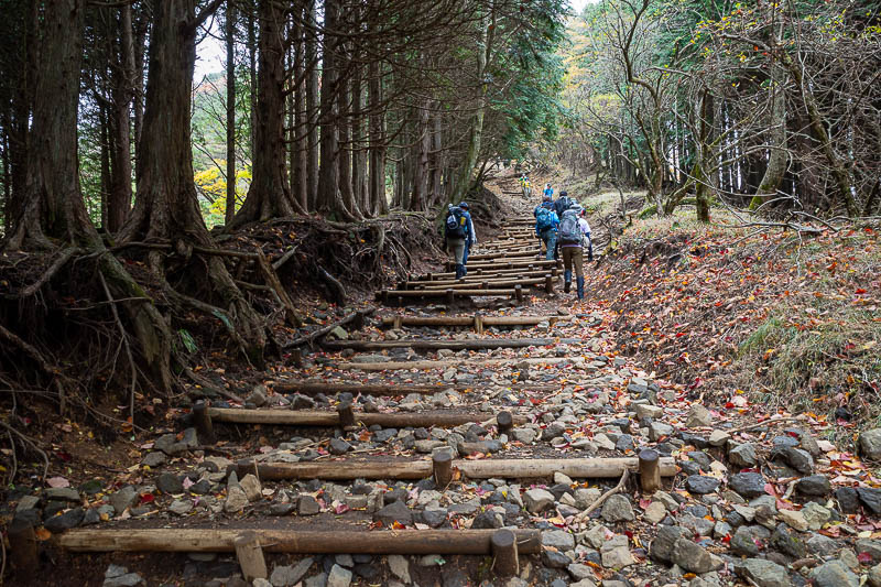 Japan-Tokyo-Hiking-Mount Tanzawa - A lot more stairs.