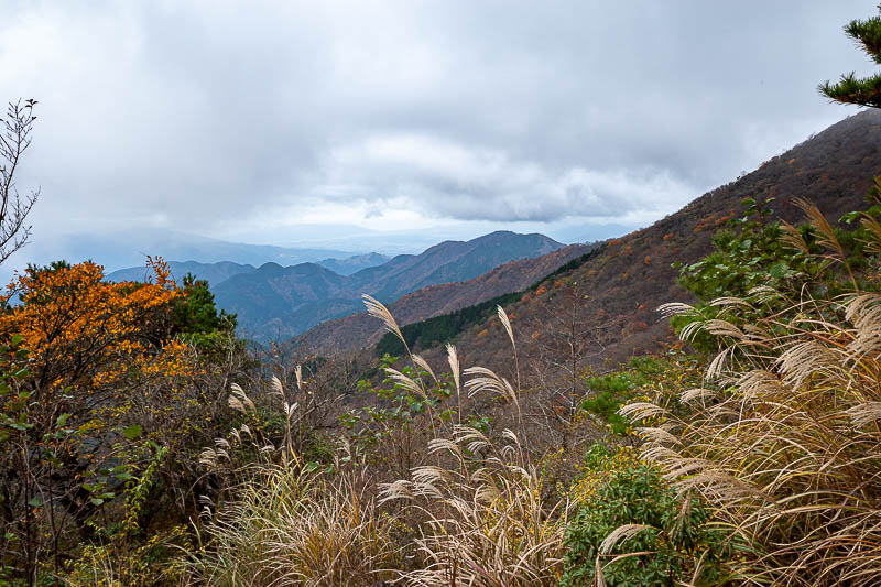 Japan-Tokyo-Hiking-Mount Tanzawa - Last chance for a view, a bit of fog rolling in already.