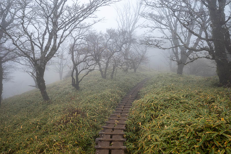 Japan-Tokyo-Hiking-Mount Tanzawa - There were however still some of my trusty elevated planks.