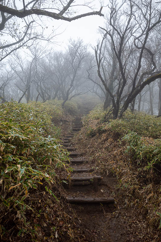 Japan-Tokyo-Hiking-Mount Tanzawa - Nearly at the peak of Tanzawa, where I would turn back and re-trace my steps. There is another bigger lodge to stay at just beyond Tanzawa that serves