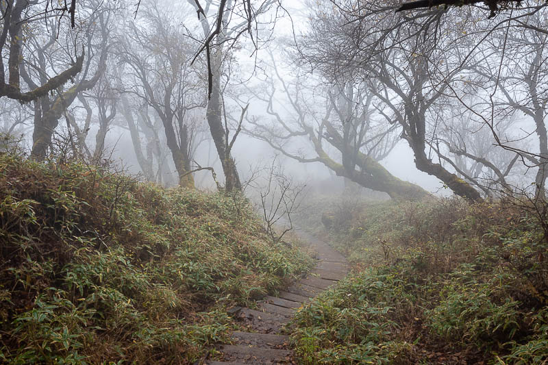 Japan-Tokyo-Hiking-Mount Tanzawa - There will be fog