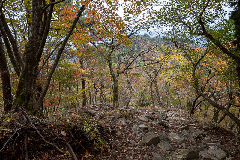 Japan-Tokyo-Hiking-Mount Tanzawa - Here is a rare bit without stairs, just rocks. It looks very wet but it was not actually slippery.