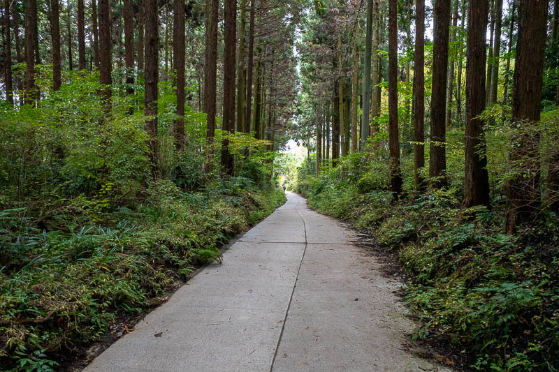 Japan-Tokyo-Hiking-Mount Tanzawa - I am about to get back to the bus, a concrete driveway and no stairs.