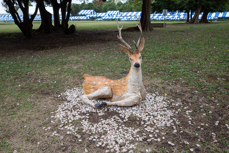 Japan-Tokyo-Museum-Dam - In case you cannot go to Nara (I have been 3 times), you can always go to this park.