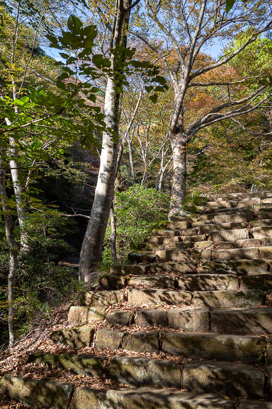 Japan-Tokyo-Hiking-Mount Oyama - The path up to where the cable car goes is full of shrines, and is mostly a staircase like this. The cable car only goes half way up the mountain as y