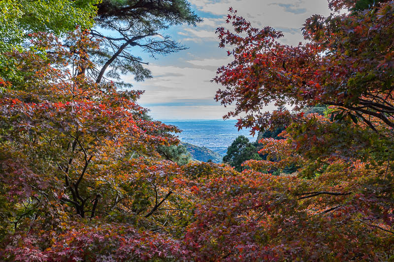 Japan-Tokyo-Hiking-Mount Oyama - A view. Not a good photo, too much contrast.