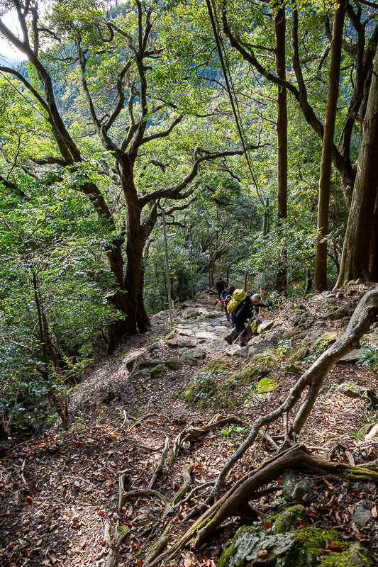 Japan-Tokyo-Hiking-Mount Oyama - Very steep and a huge number of other hikers, even though it was Tuesday. Top tip - do not go here on a weekend.