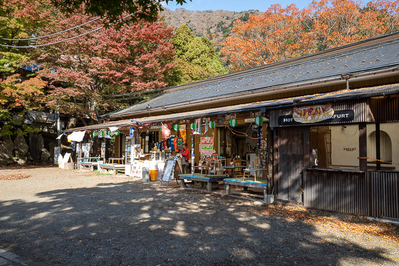 Japan-Tokyo-Hiking-Mount Oyama - Just below the main shrine is a series of ice cream shops for the cable car goers.