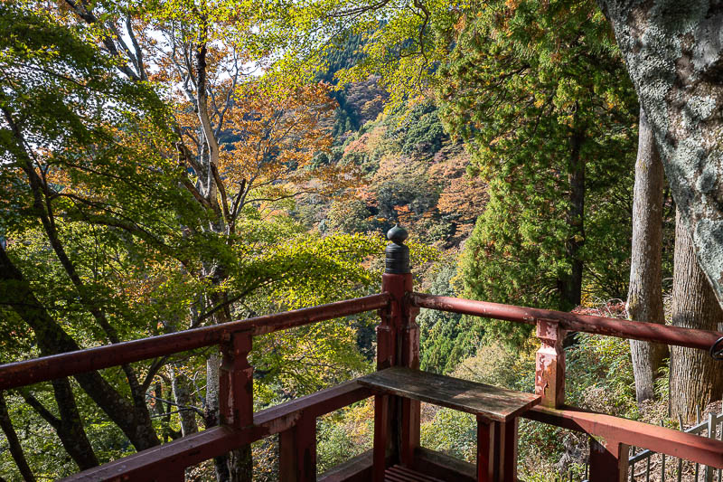 Japan-Tokyo-Hiking-Mount Oyama - A bit of colour today, but I looked at my last visit which was much more colourful, despite being on 7 November.