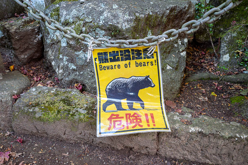 Japan-Tokyo-Hiking-Mount Oyama - Any bear dumb enough to turn up here is basically on a suicide mission, and will be shot by park rangers and become bear curry (yes they really have t