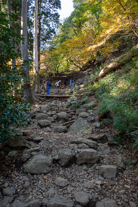 Japan-Tokyo-Hiking-Mount Oyama - The stairs become rocks mostly after the shrine. But a lot of the time the rocks are arranged nicely.