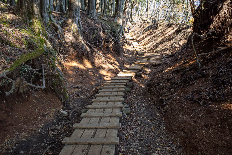 Japan-Tokyo-Hiking-Mount Oyama - Memories of Mount Tanzawa from a couple of days ago.