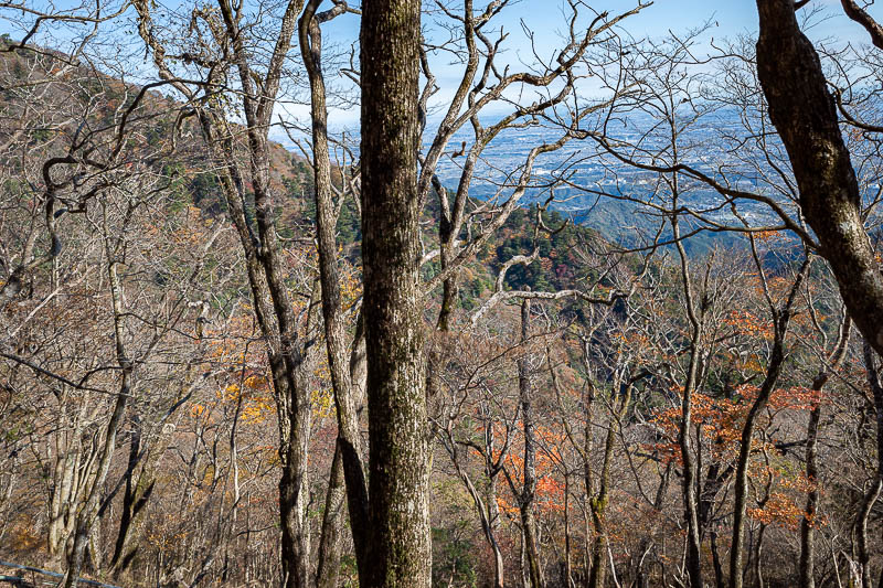 Japan-Tokyo-Hiking-Mount Oyama - Hmm, am I too early or too late for peak colour? I think the season is very confused.