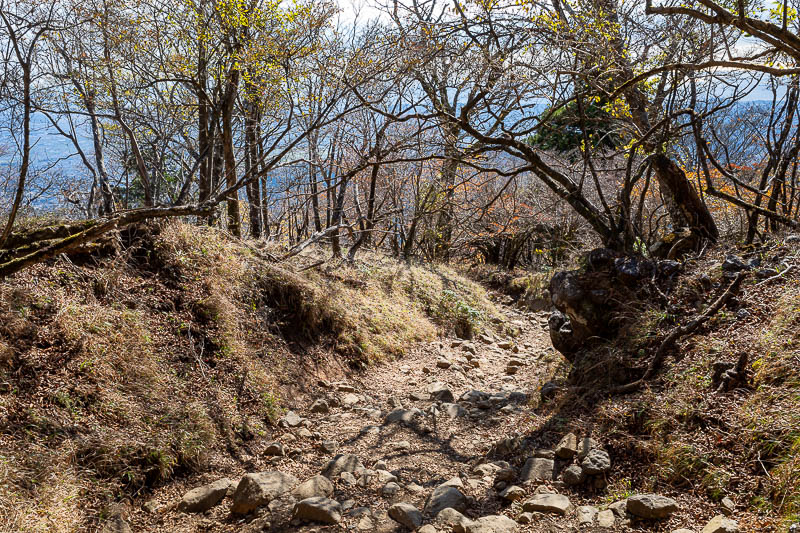 Japan-Tokyo-Hiking-Mount Oyama - I love looking into the sun at moss covered rocks.