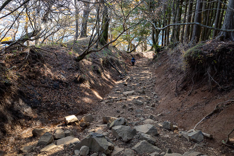 Japan-Tokyo-Hiking-Mount Oyama - A rare flatter section of the trail.