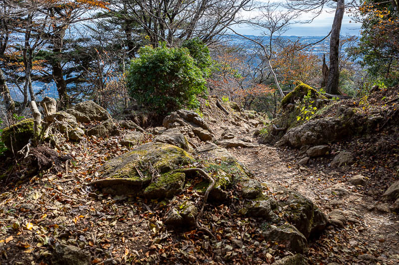 Japan-Tokyo-Hiking-Mount Oyama - More mossiness. Yeah, mossiness is a word.