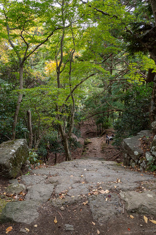 Japan-Tokyo-Hiking-Mount Oyama - The path down on this trail was no less a staircase than the other path.