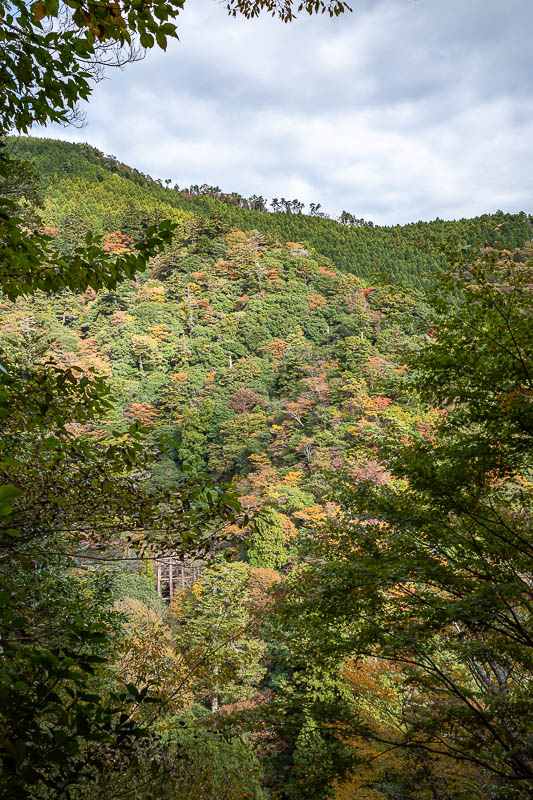 Japan-Tokyo-Hiking-Mount Oyama - I stood here studying my map, because it seems there is a trail on that ridge. Maybe next time!