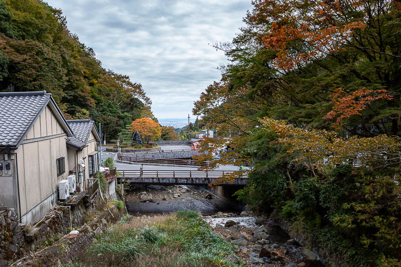 Japan-Tokyo-Hiking-Mount Oyama - And after not even 4 hours, I was back at the bus, and I literally ran straight onto a waiting bus that departed seconds after I boarded. Only one mor